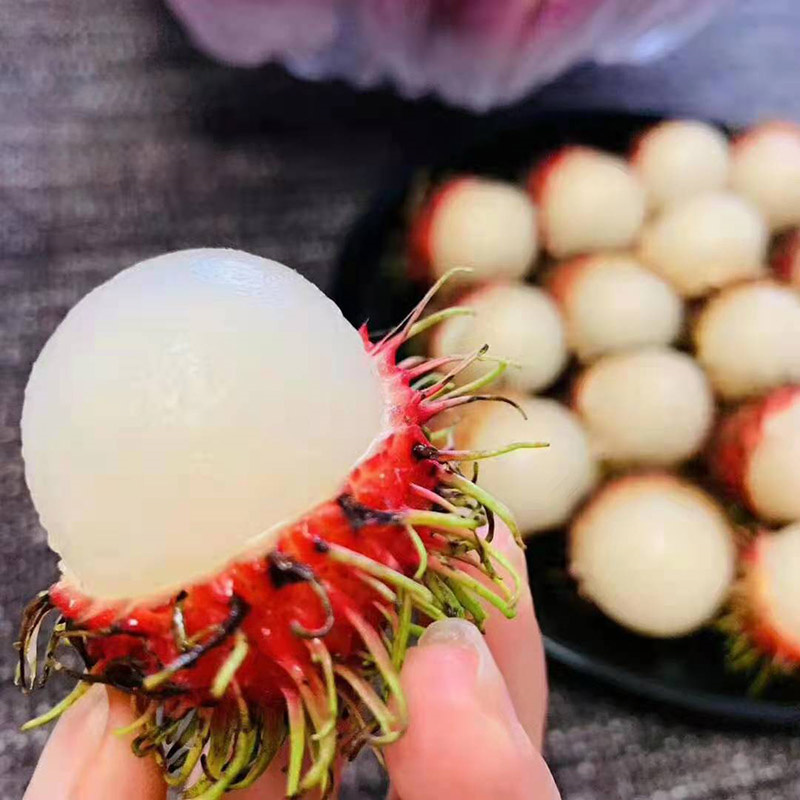 红毛丹 (10).jpg
