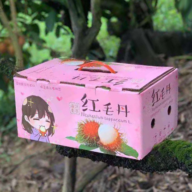 红毛丹 (5).jpg